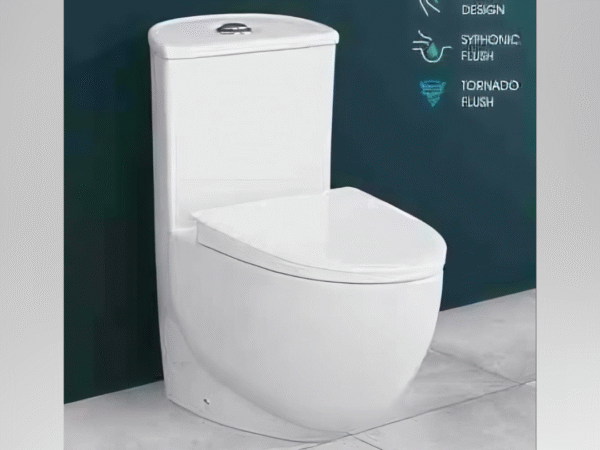 BIKRRI SBM CP SANITARY AND PLUMBING BUY RAYNO COMMODE AT LOW COST