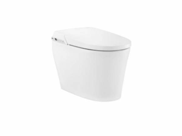 Georgia In-Wash Smart WC