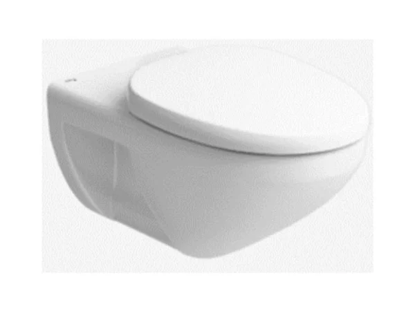 Mounted White Closet WC Winston